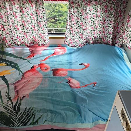 Balistyle Guesthouse Incl Hottub Near Amsterdam And Haarlem Velsen-Zuid Dış mekan fotoğraf
