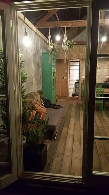 Balistyle Guesthouse Incl Hottub Near Amsterdam And Haarlem Velsen-Zuid Dış mekan fotoğraf