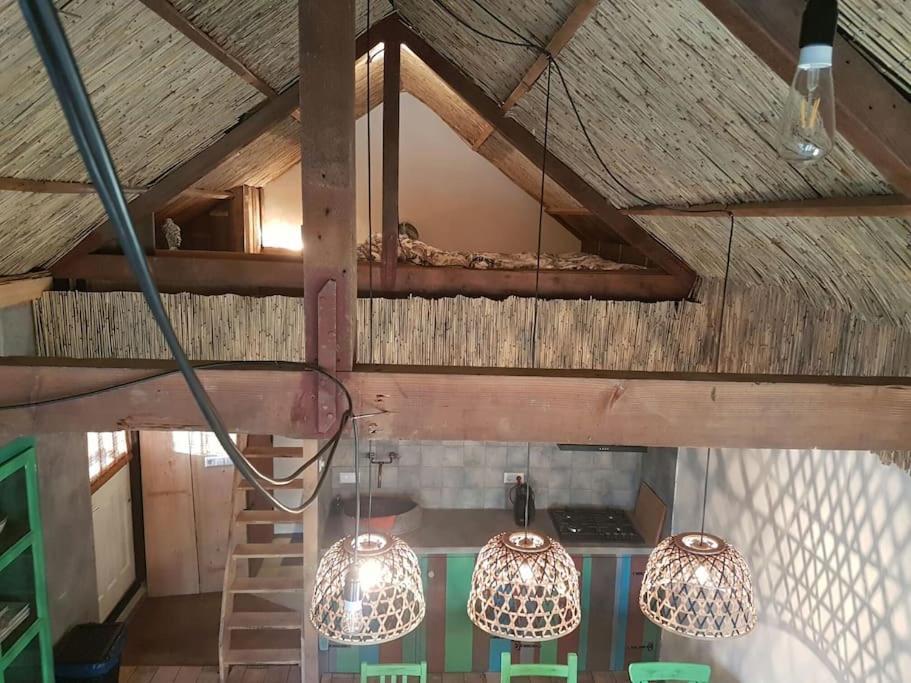 Balistyle Guesthouse Incl Hottub Near Amsterdam And Haarlem Velsen-Zuid Dış mekan fotoğraf